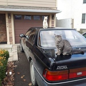 Meet your Posher, Brent